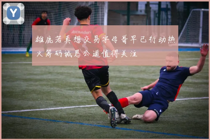 雄鹿若真想交易字母哥早已行动热火筹码诚恳公道值得关注
