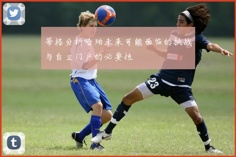 蒂格分析哈珀未来可能面临的挑战与自立门户的必要性