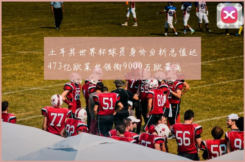 土耳其世界杯球员身价分析总值达473亿欧莱尔领衔9000万欧最高